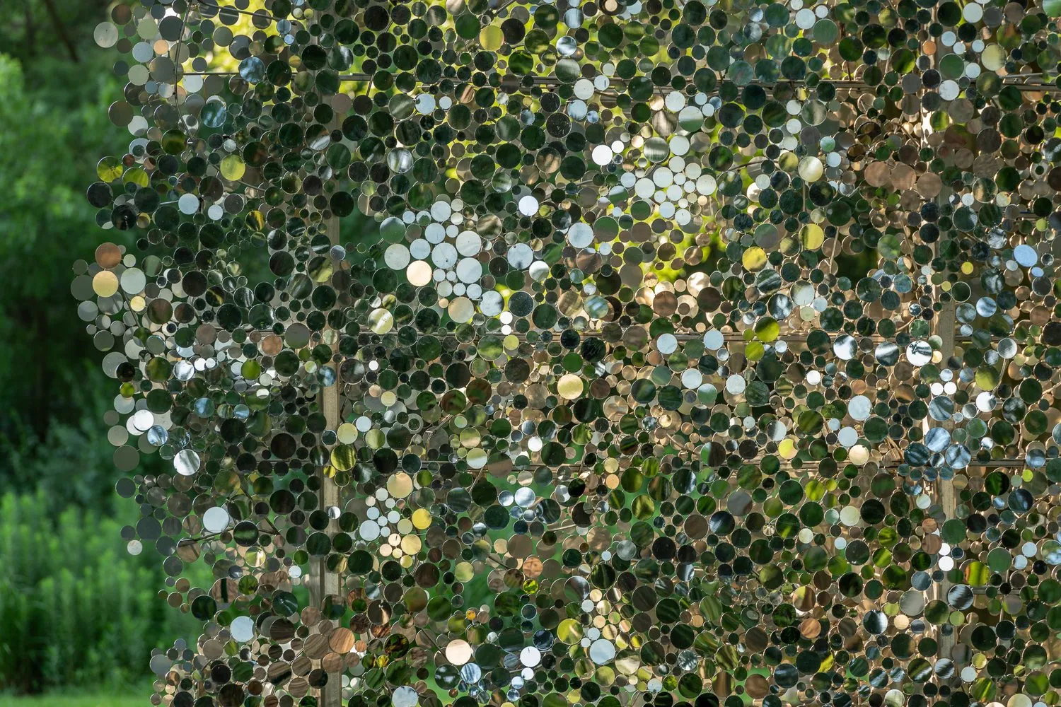 Scattering Surface Image