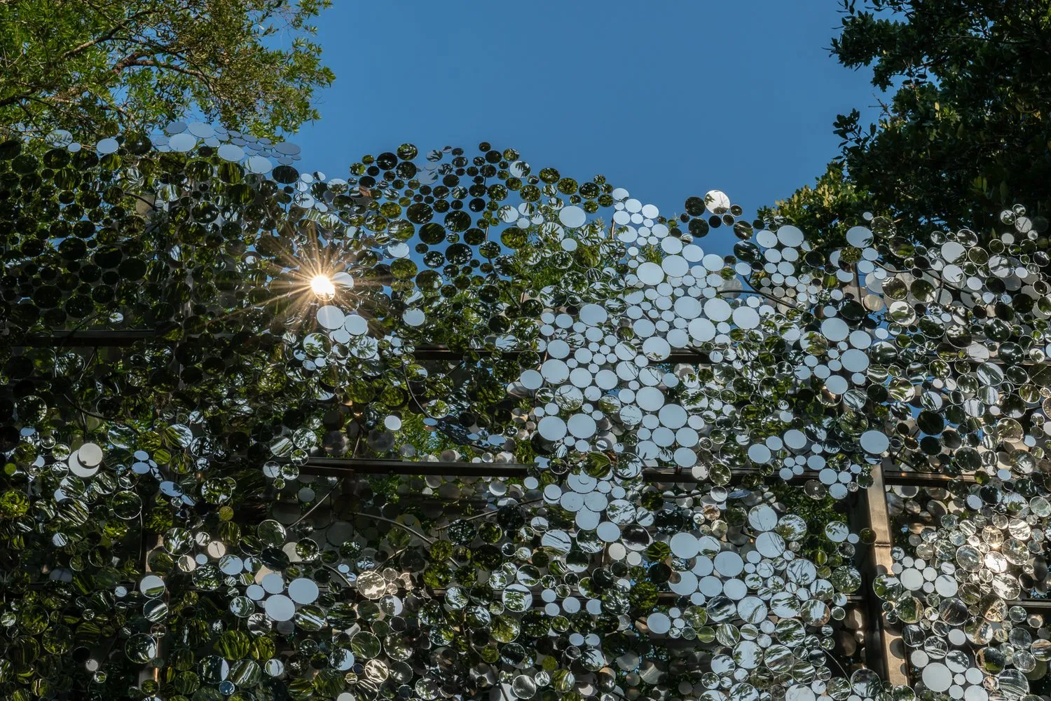 Scattering Surface Image