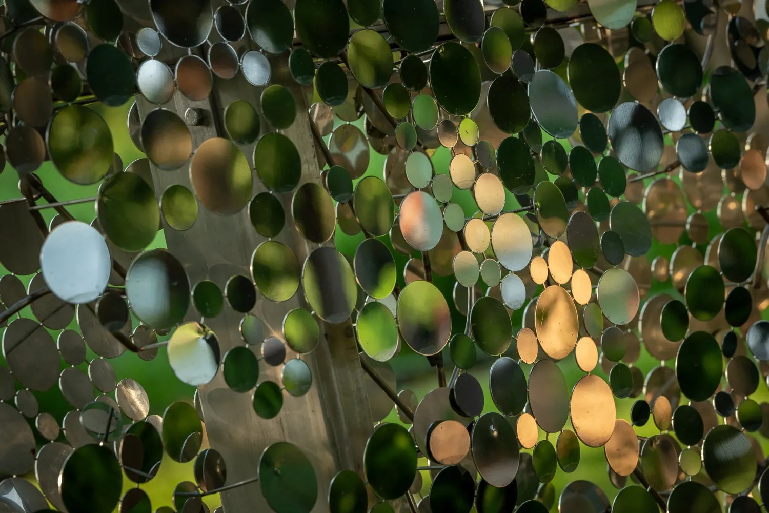 Scattering Surface Image